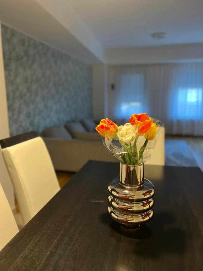 Iva Lux Stan Na Dan Apartment Баня Лука Екстериор снимка